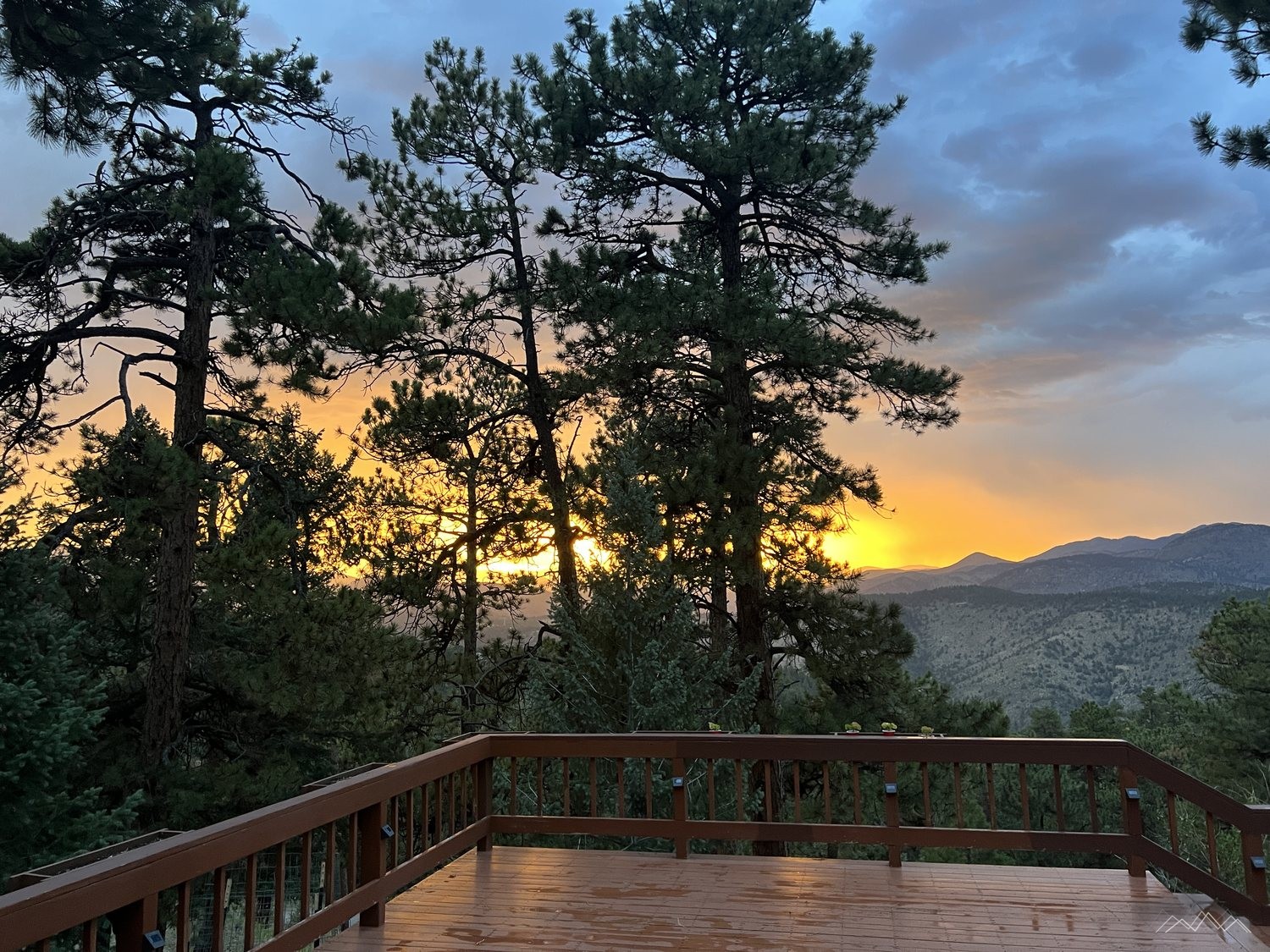 The deck at sunset, framed by tall ponderosa pines