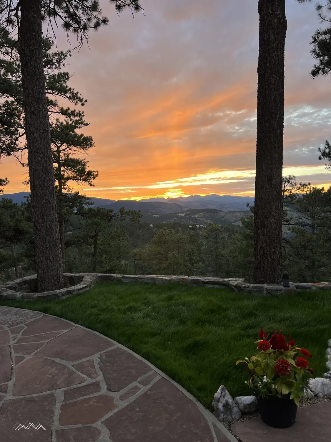 The patio garden and tall pines glowing at sunset