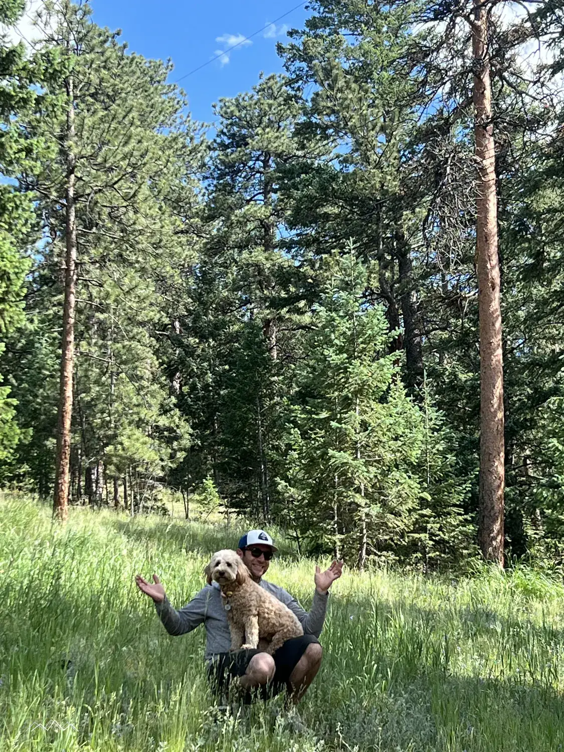 A man sitting in a tall green meadow among ponderosa pines, holding up a golden doodle with arms raised