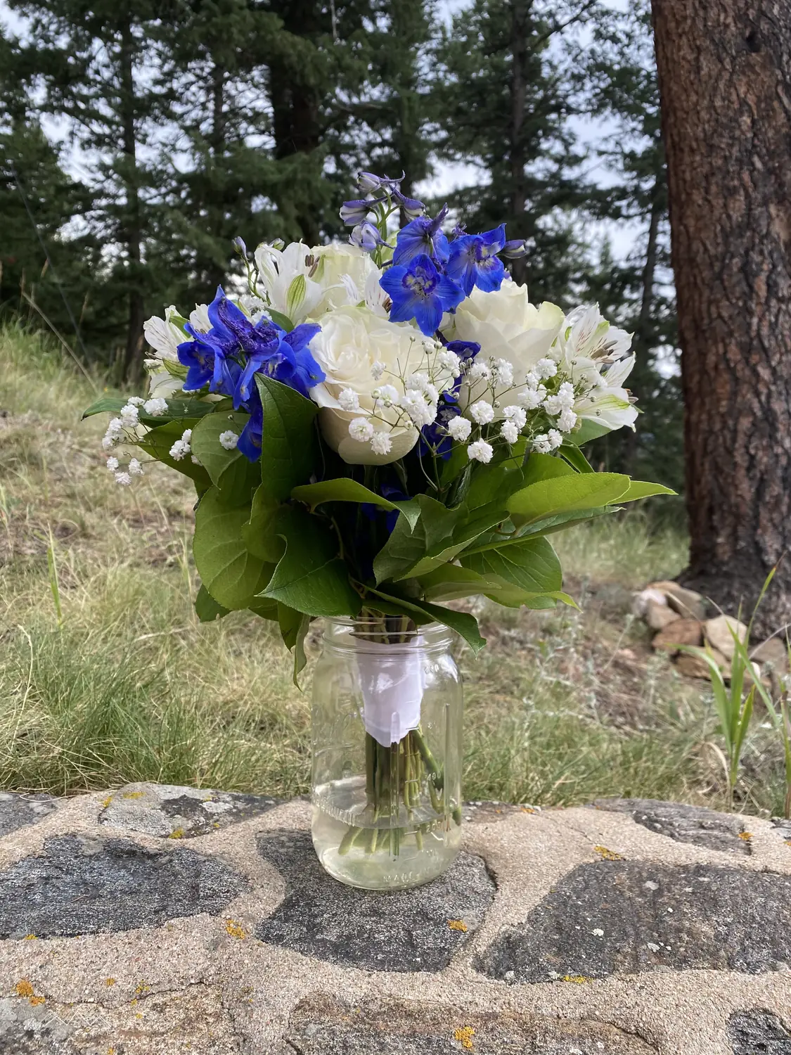 Ein Strauß aus weißen Rosen und blauem Rittersporn in einem Einmachglas auf der Steinmauer, dahinter Kiefern