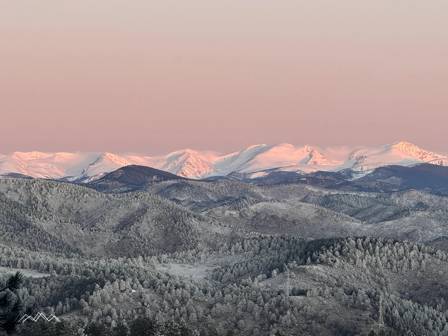 Les Indian Peaks enneigés rosissent tôt le matin au-dessus d’une forêt de pins ponderosa givrée